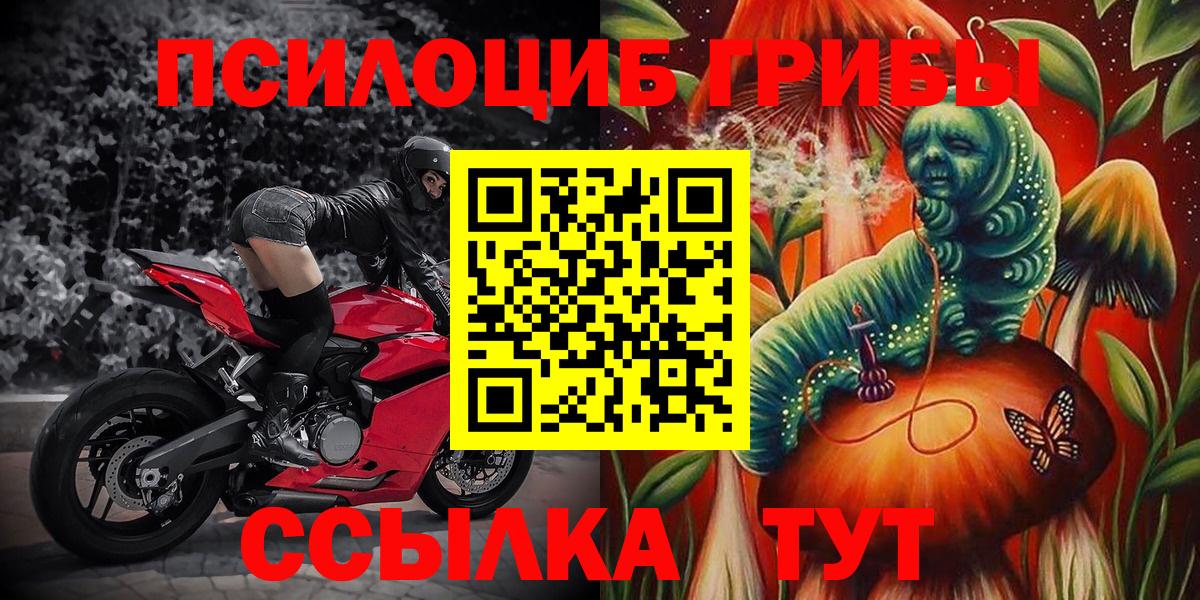 Псилоцибиновые грибы ЛСД  где продают наркотики  Протвино  Вход с VPN 